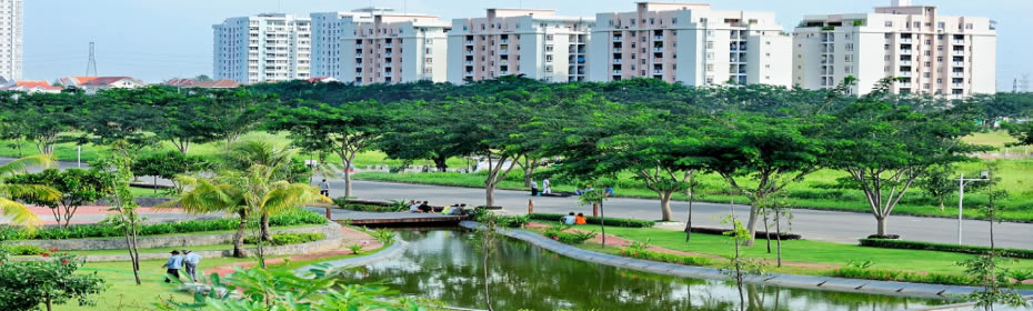 Mua bán cây xanh tại Hà Tĩnh