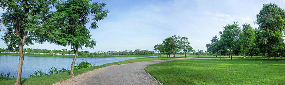 Trồng cây xanh tại hà Tĩnh