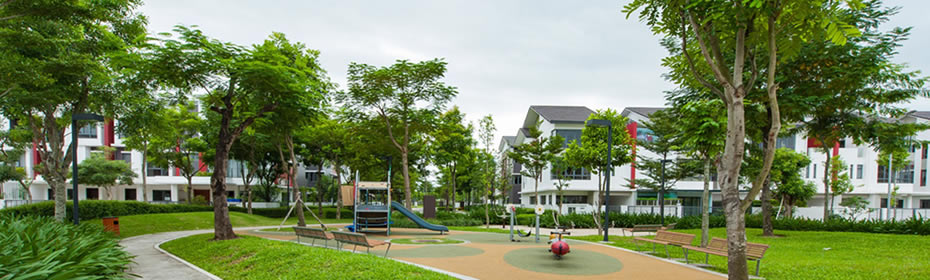 Cây bóng mát tại hà Tĩnh